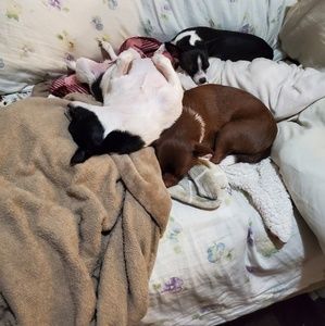 Meet your Posher, Kara